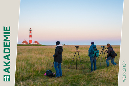 NEU: Sommerakademie 2026