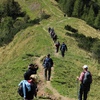Forenbeitrag Bild 3