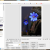 Forenbeitrag Bild 1